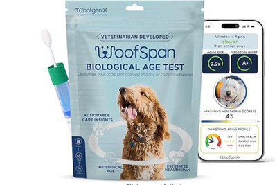 Dog DNA Test for Health Issues, Aging Rate, Longevity/Personalized Health Report