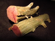 2 Red CEDAR LOGS Wood Blanks Crafts Carving DIY Projects 1.3 LBs HARDWOOD