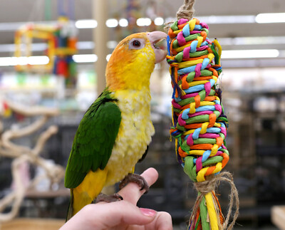 #ad #ad Rainbow Weave Shreddable Toy Small for Parakeets and Small Parrots $9.99