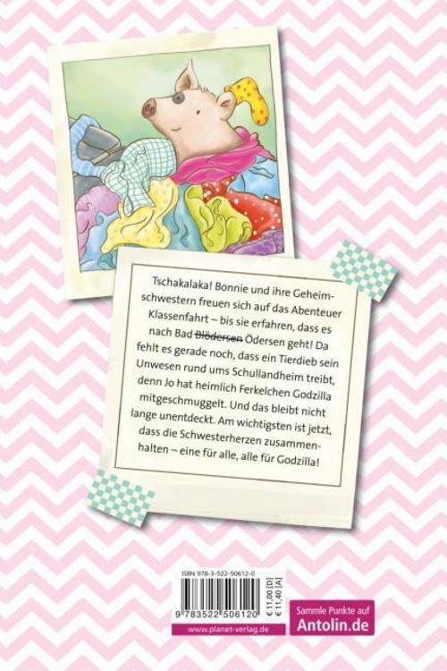 Thumbnail - Lucy Astner Schwesterherzen 2: Auf Klassenfahrt 9783522506120