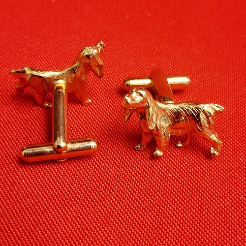 Gemelos de colección Golden Retriever para perro placa de oro laboratorio Setter irlandés perro manipulador - Imagen 9 de 10