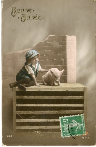 CARTE POSTALE / POSTCARD / FANTAISIE / BONNE ANNEE / AVION