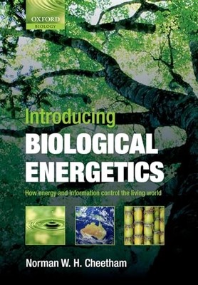Introducing Biological Energetics: How Energy and Information Co