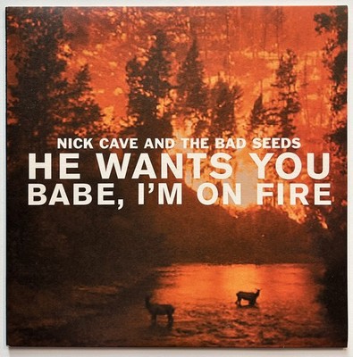 Nick Cave & The Bad Seeds : He Wants You/Babe, I'm On Fire 2003 UK 10'' EX/EX
