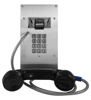 Viking Electronics VoIP Phone with Entry System (k-1900-8-ip) (k19008ip)