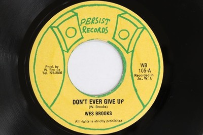 7'' WES BROOKS Don't Ever Give Up / WB105 	PERSIST REC US