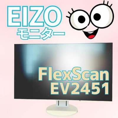 EIZO FlexScan EV2451 LED LCD Monitor 23.8 inch White Tested