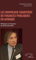 Nicaise MéDé | Les Nouveaux Chantiers De Finances Publiques En Afrique | Buch