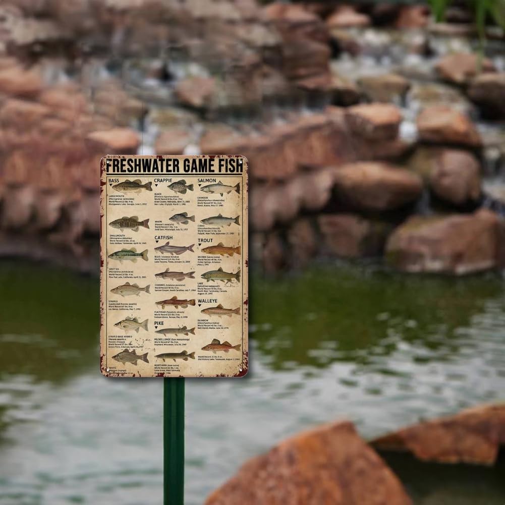 LIZATIC Metal Fishing Decor Wall Art - Freshwater Game Fish Sign,