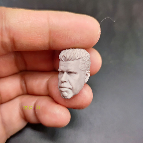 DIY 1:12 Ron Perlman Sons of Anarchy Head Sculpt Fit 6'' Male Soldier Body Toy - Picture 5 of 6