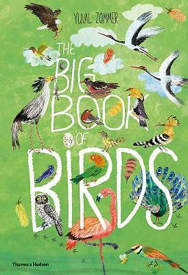 The Big Book of Birds by Yuval Zommer (Hardback Book) - Image 3