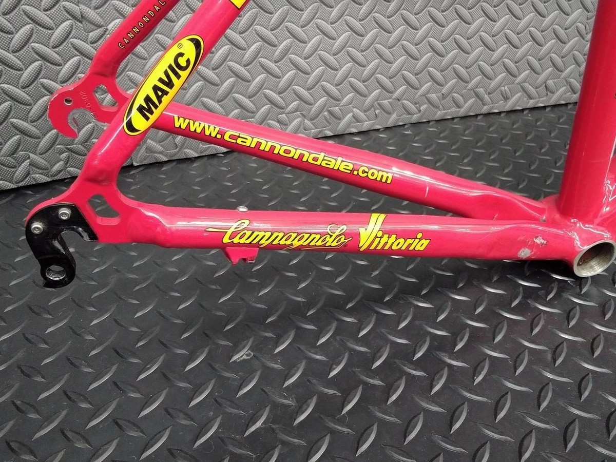 Cannondale Caad4 Road Bike Frame 510mm SAECO color Rare Japan USED