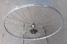 Hinterrad 28" Rennrad Schlauchrad Speichen 36, gemarkt SANREMO RACING