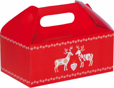 Weihnachten*2er Faltschachtel*Geschenkverpackung* Schachtel*Merry Christmas*20cm