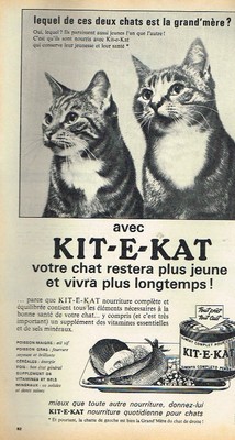 L Publicite Advertising 1964 Pate Alimention Pour Chat Kitekat Kit E Kat Ebay