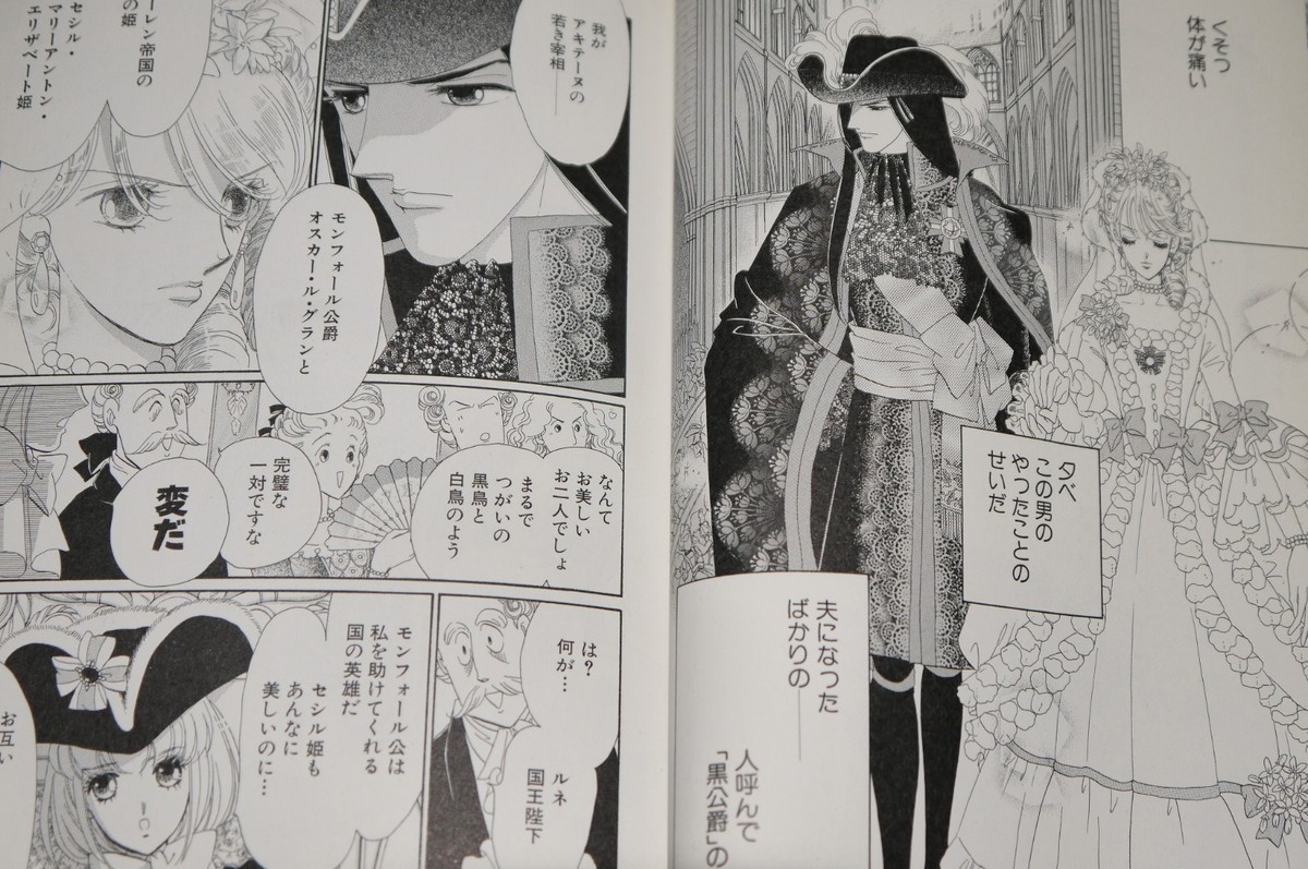 JAPAN Yuki Shima, Chiho Saito novel: Rosenkreuz series 1~14