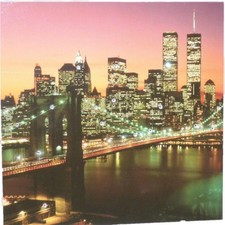 Quadretto Quadro da parete strass 14 x 14 cm the bridge