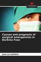 Causes And Prognosis Of Surgical Emergencies In Burkina Faso Jean Luc Kambiré