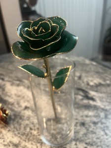 Beautiful Dipped Rose (Sold to us as Steven Singer Rose)
