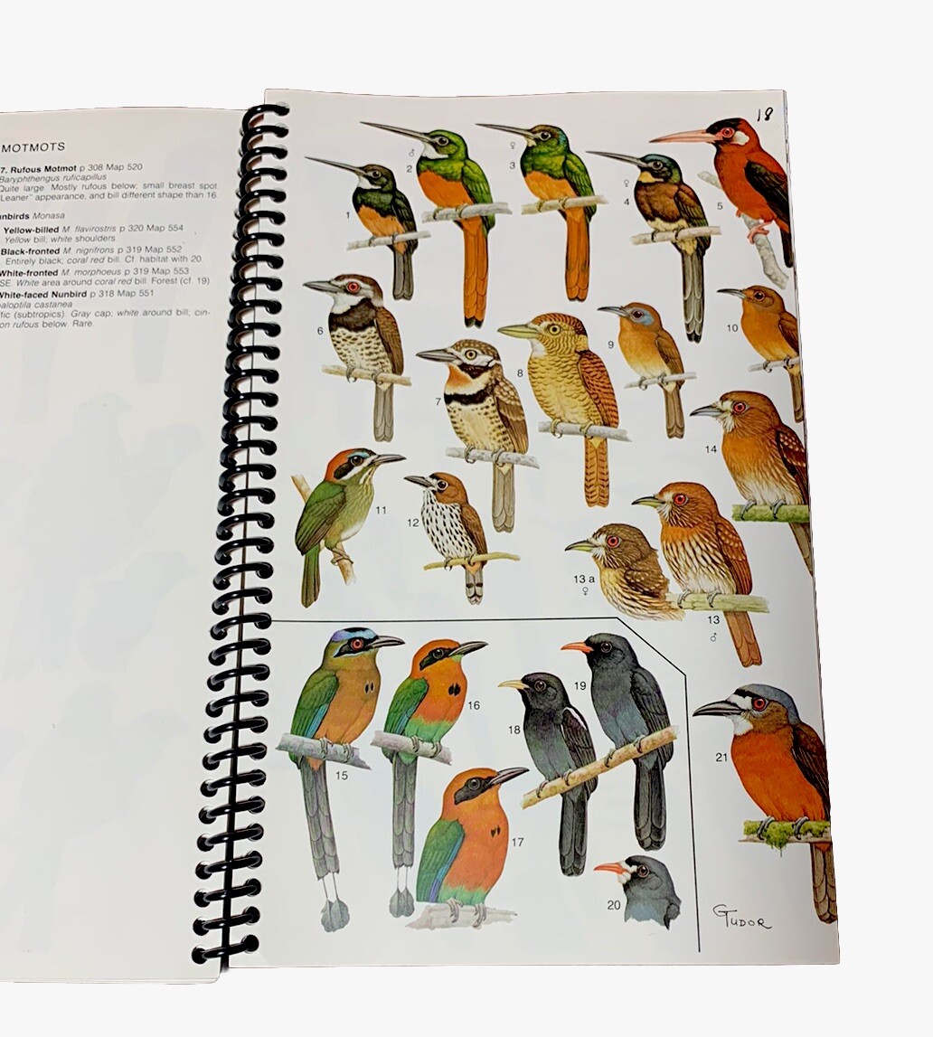 A Guide to The BIRDS of COLOMBIA - Hilty & Brown + Plates