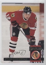 1993-94 Donruss Randy Cunneyworth #413 0a0