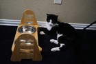 Adj Elevated Bamboo Pet Bowl Stand w/ears Double Stainless Steel bowls — photo 6