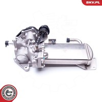 Esen SKV Agr-Ventil 14SKV153 FüR Audi