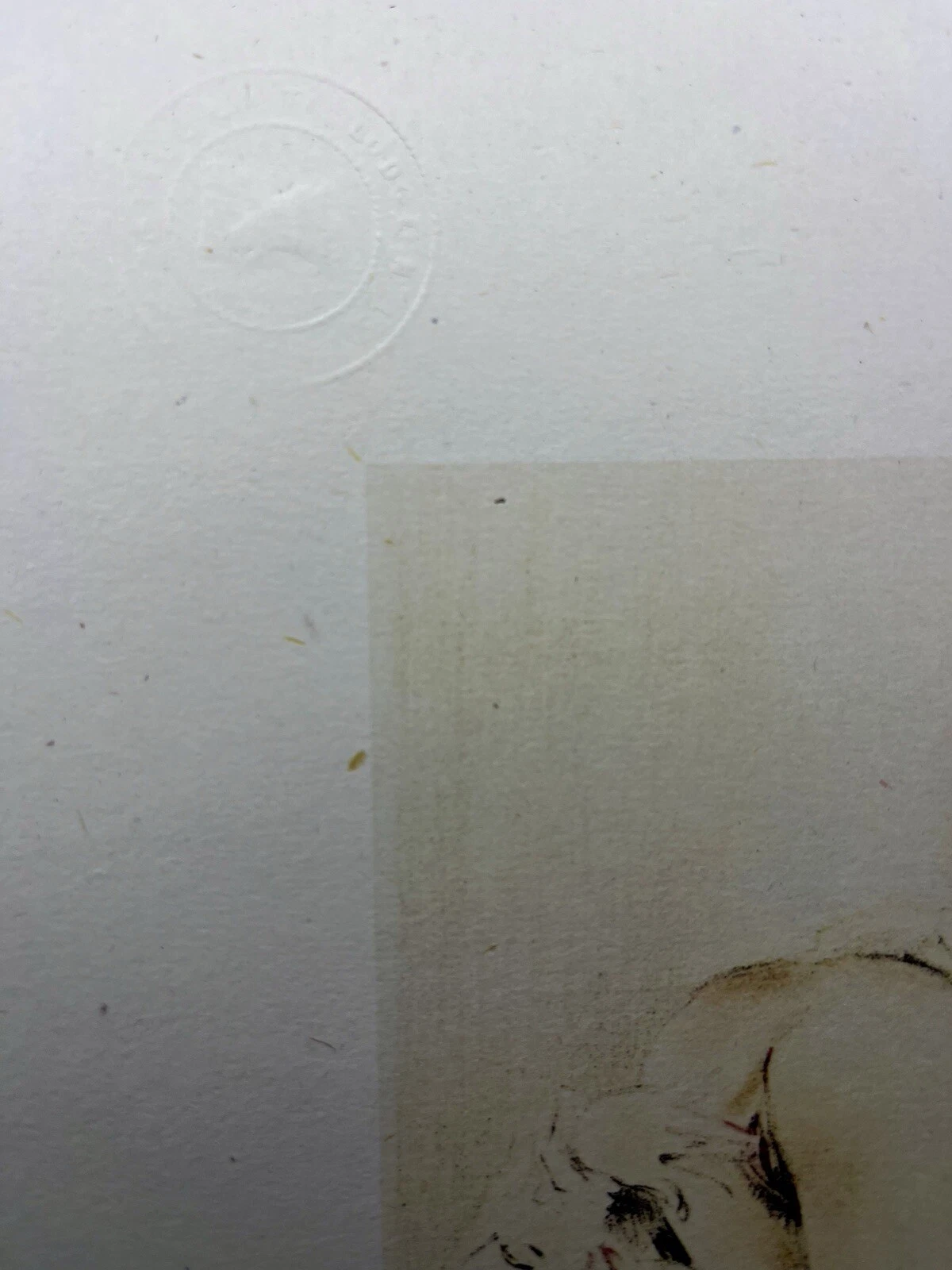 Photo 2/2