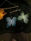Bild 8 von 10