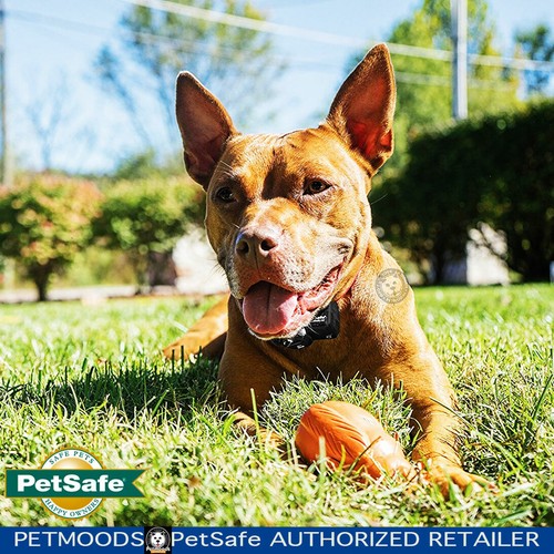 PetSafe PIF-275-19 Funk-Zaunempfängerhalsband + 11 Batterien RFA-67 - Bild 10 von 12