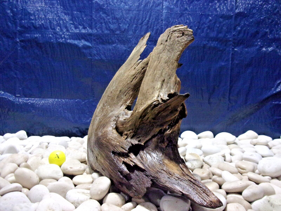 Large Driftwood Aquarium Loose Wood, Very Low Tannins, Freshwater