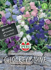 Glockenblumen Campanula medium SPERLING`s Campana Mischung