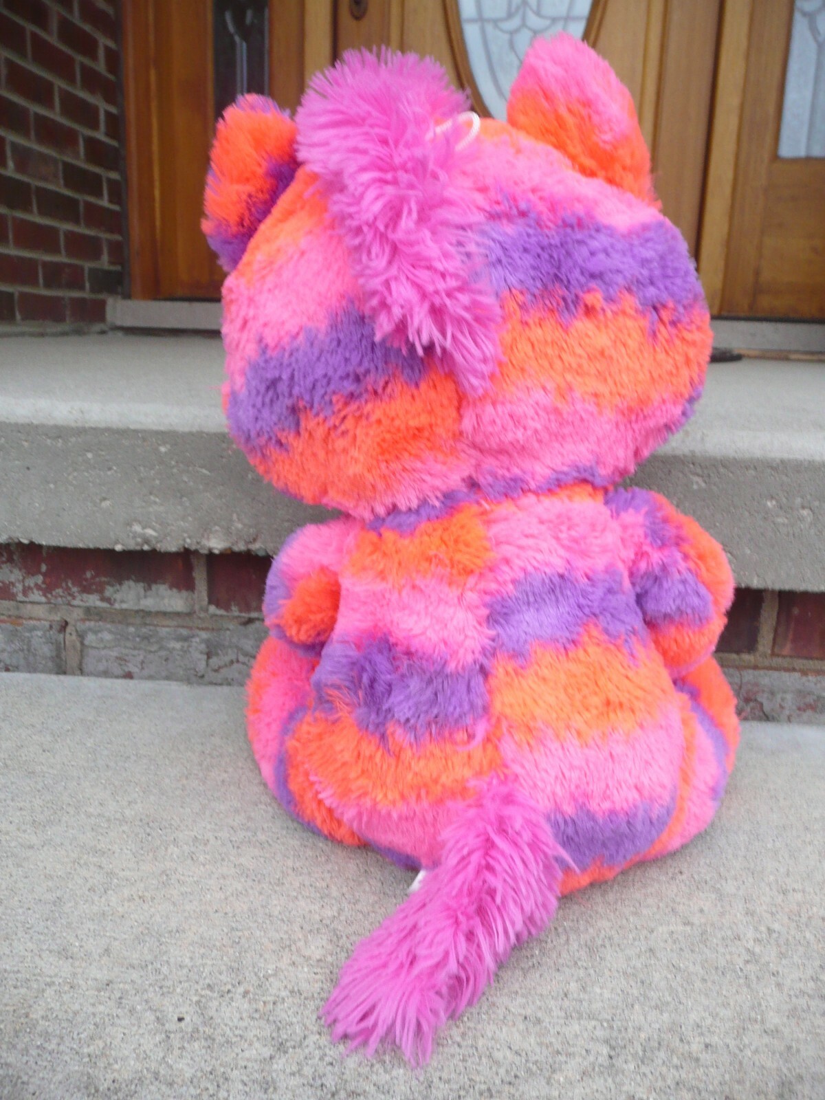 Picture 5 of 8