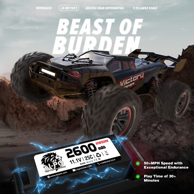Hosim 1:8 Brushless RC Car For Adults VORTAN High Speed RC Monster