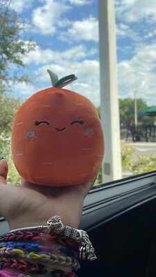 Squishmallow 5 Inch Easter 2022 Caroleena The Carrot BNWT