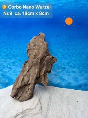  Corbo Root Nano  Aquarium Traum Wurzel Naturwurzel Terrarium Hardscape Dek