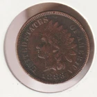 US Rare Old West 1883 Indian Head Penny Coin American Collection Shield Cent USA
