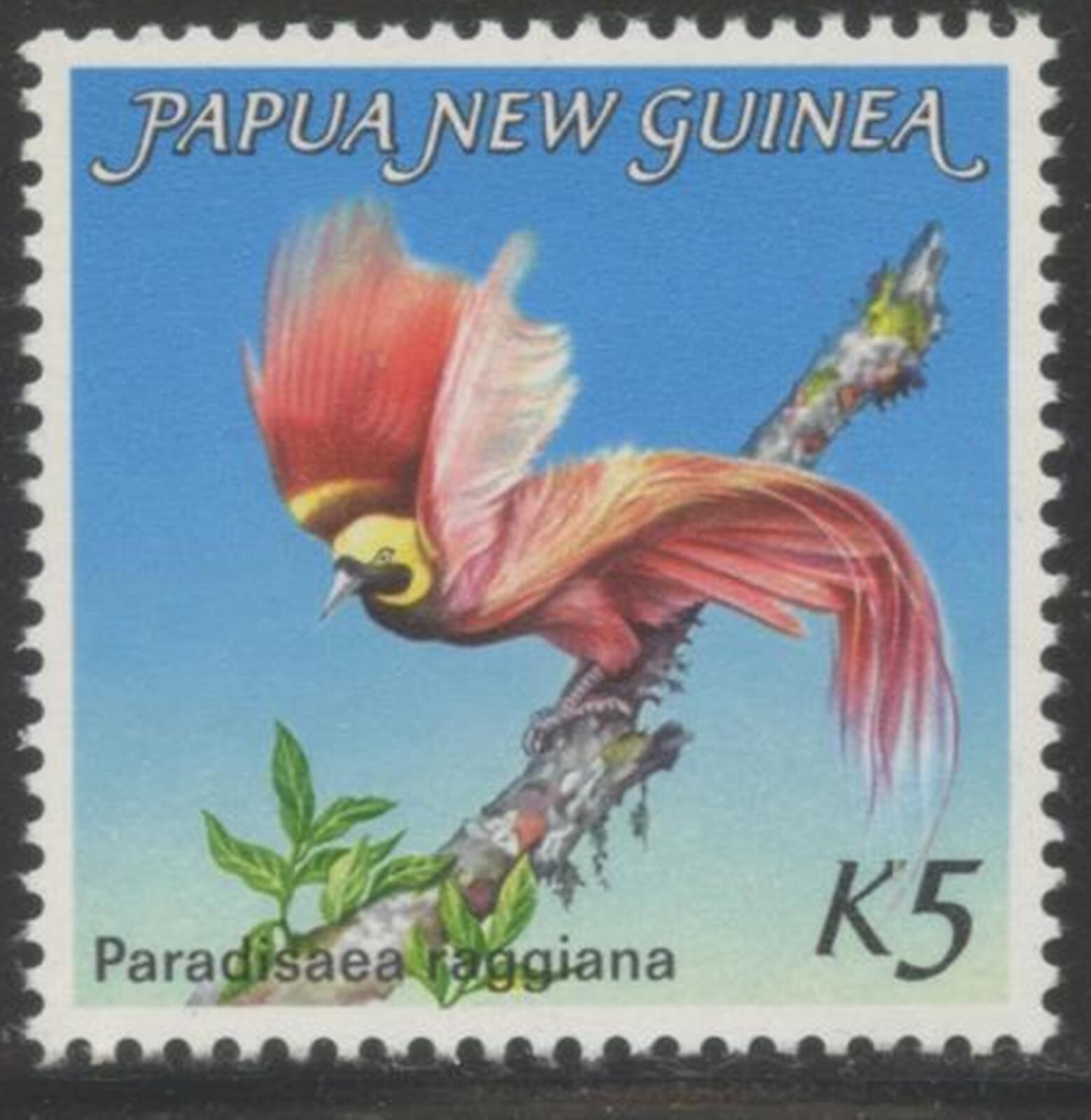 PAPUA NEW GUINEA Sc#603 1984 Bird of Paradise Complete OG Mint NH | eBay