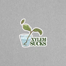 Xylem Sucks Plant Science Biology Botany Vinyl Sticker Decal #6078