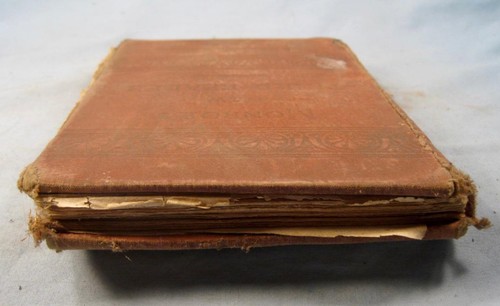 Monroes New Third Reader Antique Book Circa 1900 E H Butler Philadelphia O AS IS - Picture 6 of 12