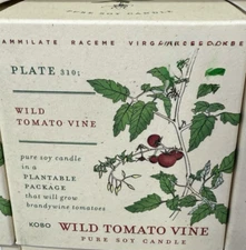 KOBO PURE SOY CANDLE IN PLANTABLE PACKAGE THAT WILL GROW BRANDYWINE TOMATOES AUS