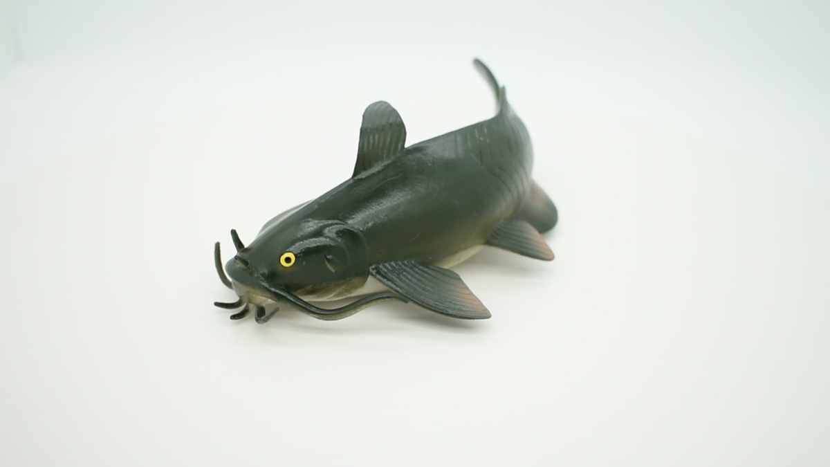 s-l1200.png