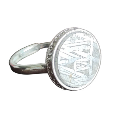 Muonionalusta meteorite RING ,size adjustable Ring  S925 Silver Case