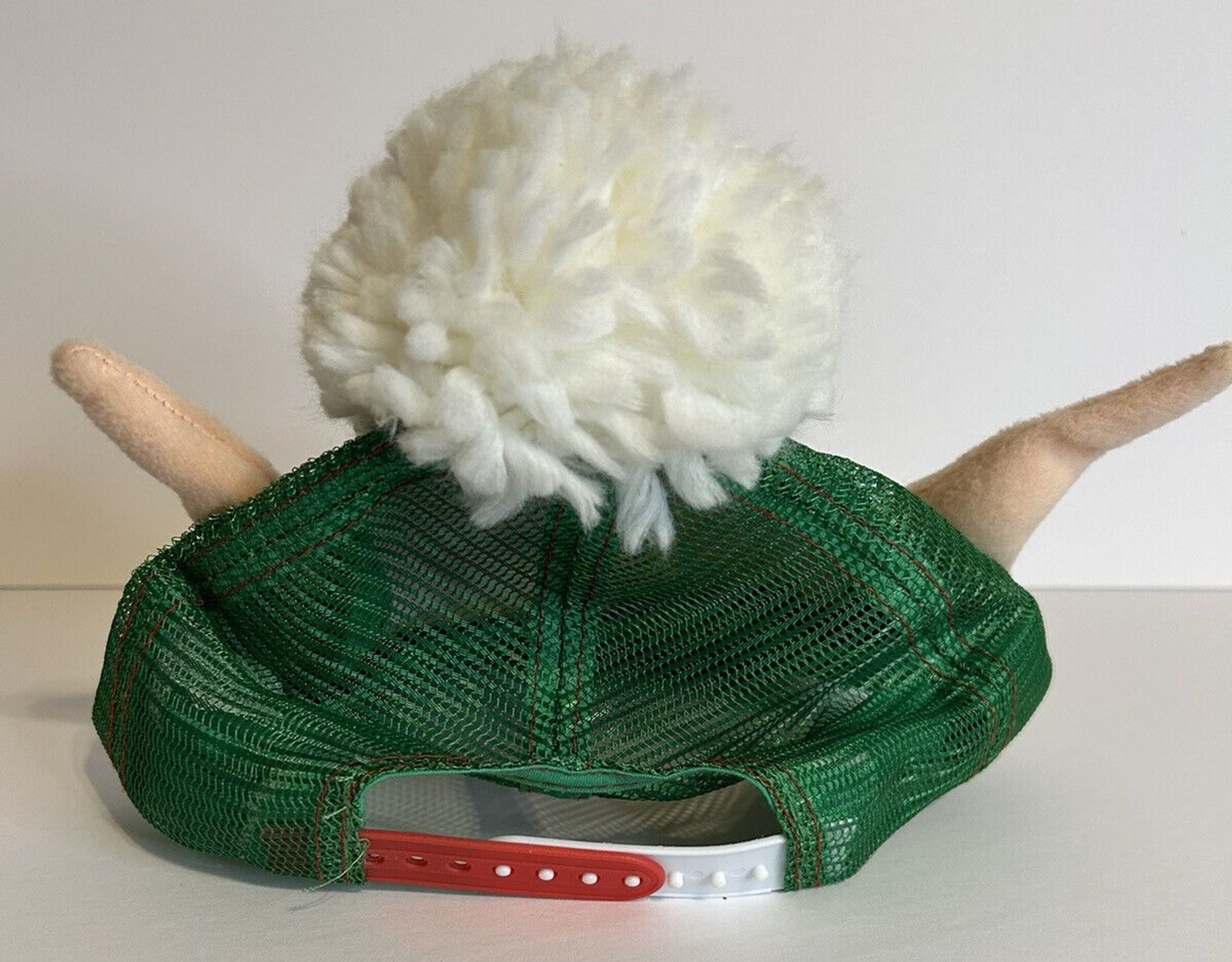 Foto 5 di 5