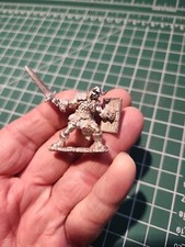 D D Heavily Armed Barbarian With Wood Shield Miniature Dungeons  Dragons