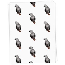 'African  Grey Parrot' Gift Wrap / Wrapping Paper / Gift Tags (GI028573)