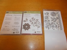 Stampin'Up FLOURISHING PHRASES clear-mount stamp set FLOURISH Thinlits DIES