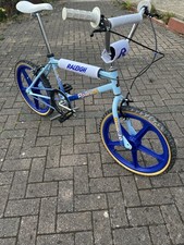eBay Auction Picture