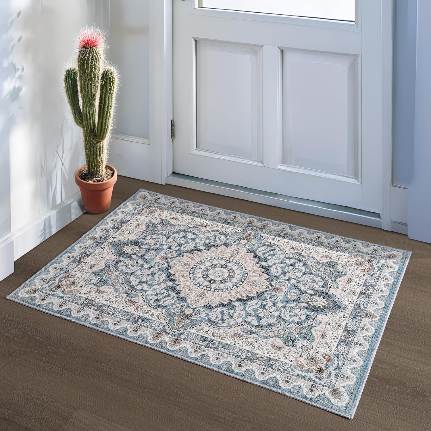 Small Rugs for Entryway 2X3 Feet Non-Slip Doormat Indoor Entrance Vintage Washa