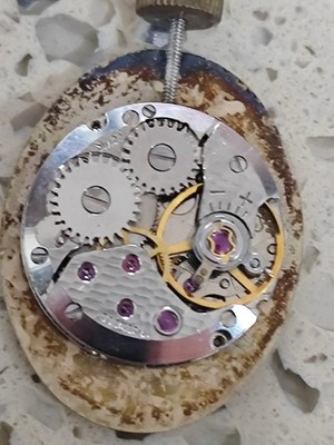 Vintage  eta 2412  Movement, With Dial & Hands & Crown  17 Jewels Swiss  NOS